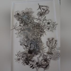 Floral, Plants, Cactus Sticker Bundle